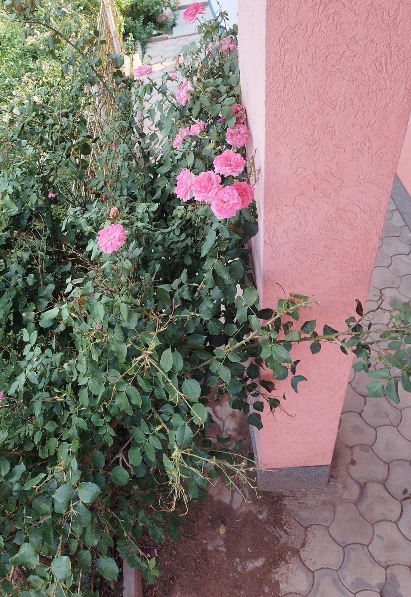Apartman Leki Saraievo Exterior foto